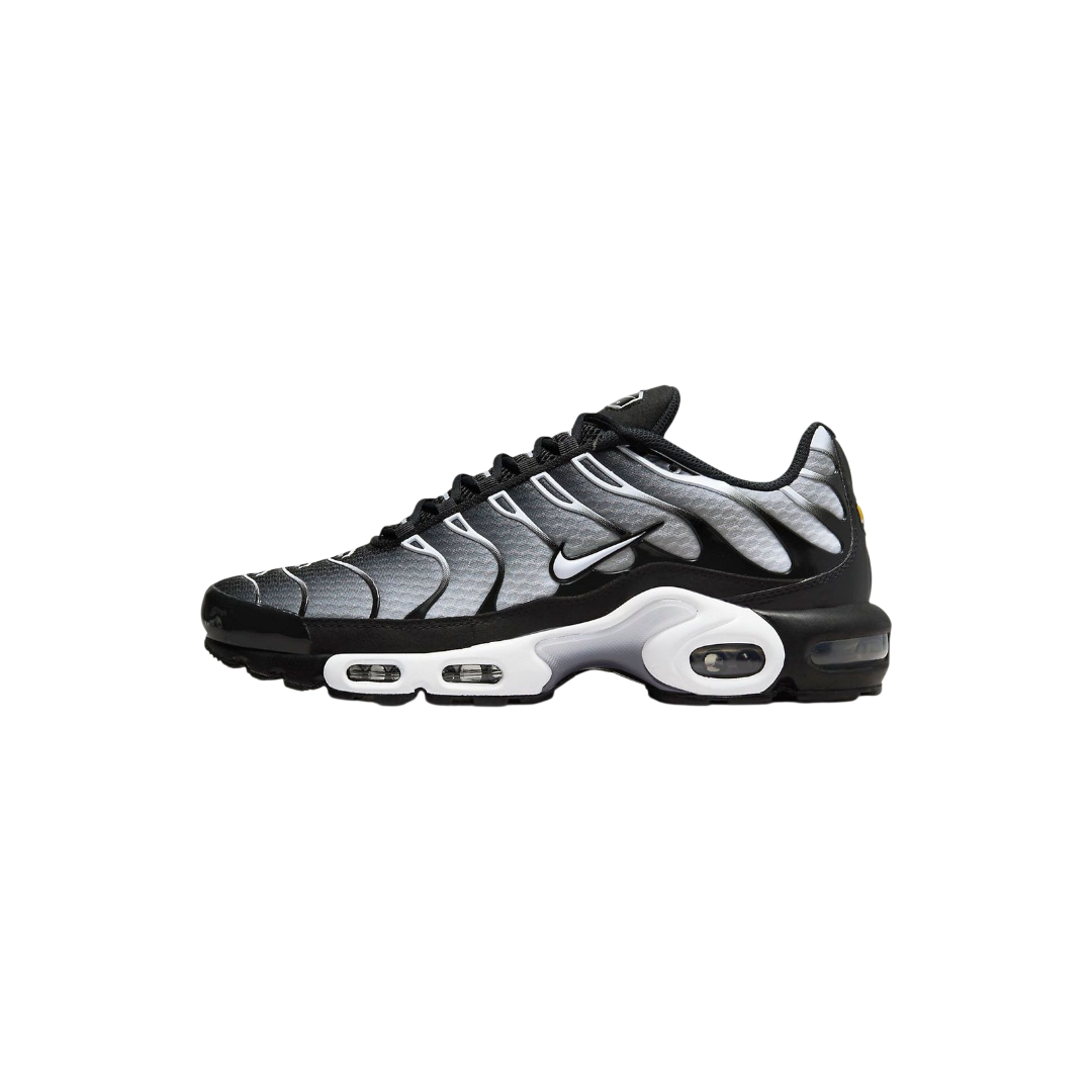 Nike Air Max Plus Smoke Fade