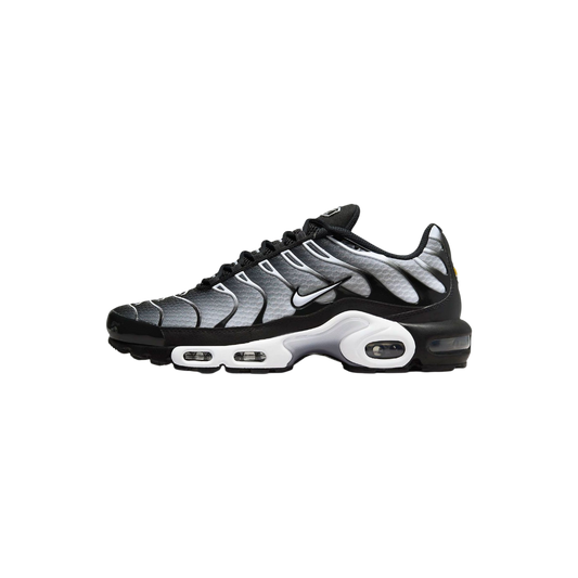Nike Air Max Plus Smoke Fade