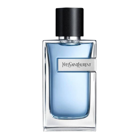 YSL Y